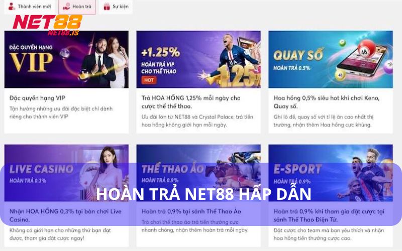 Hoàn Trả Tiền Cược Định Kỳ